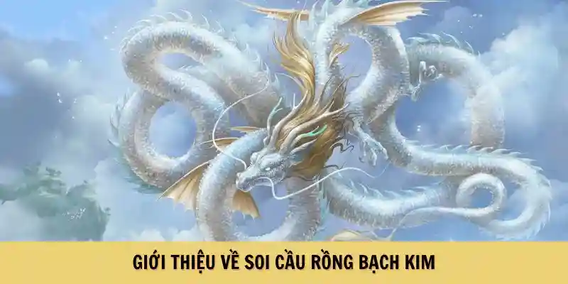 Giới thiệu cơ  bản về rồng bạch kim